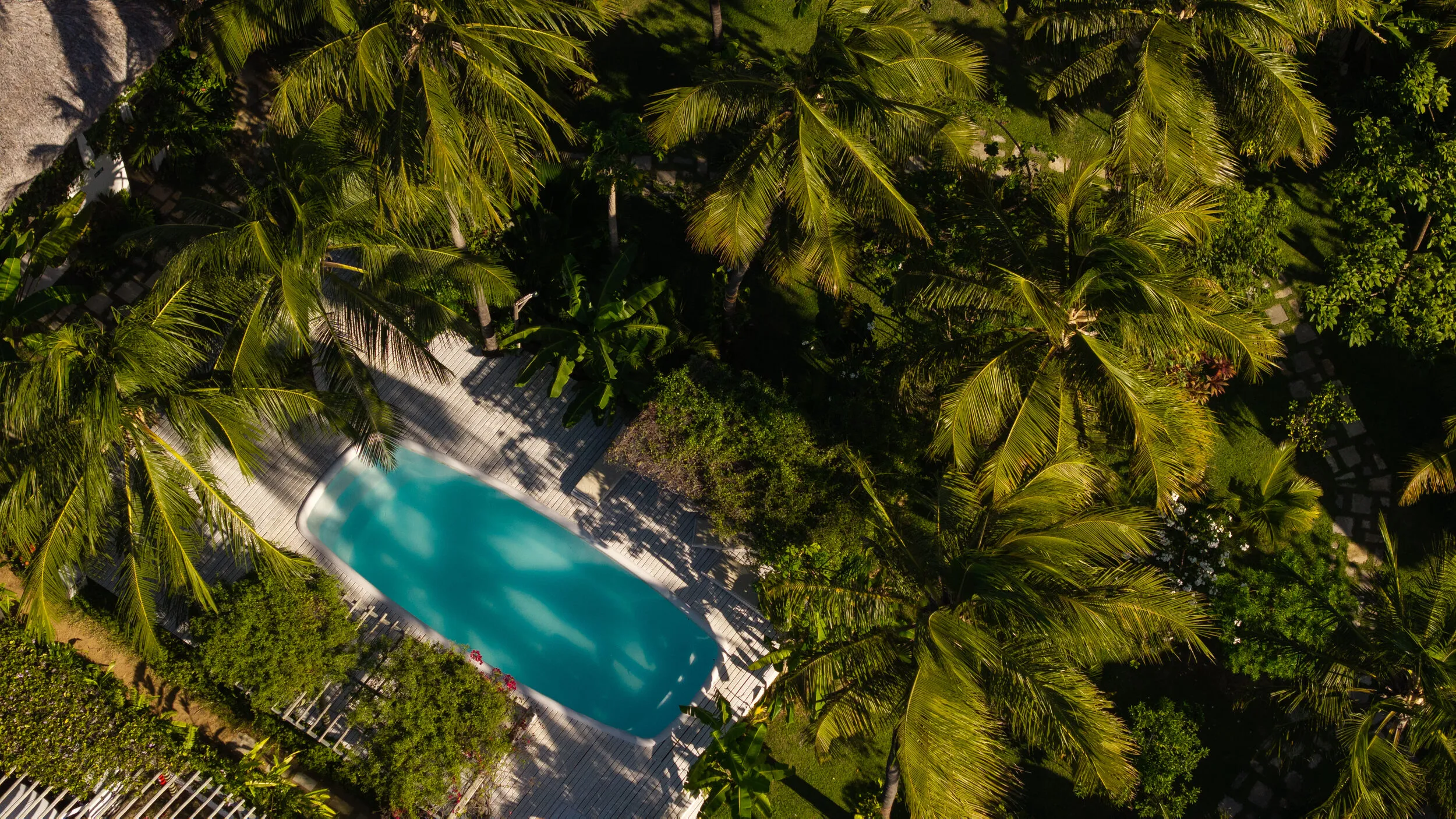 Piscina da Pousada País Tropical entre palmeiras no jardim tropical