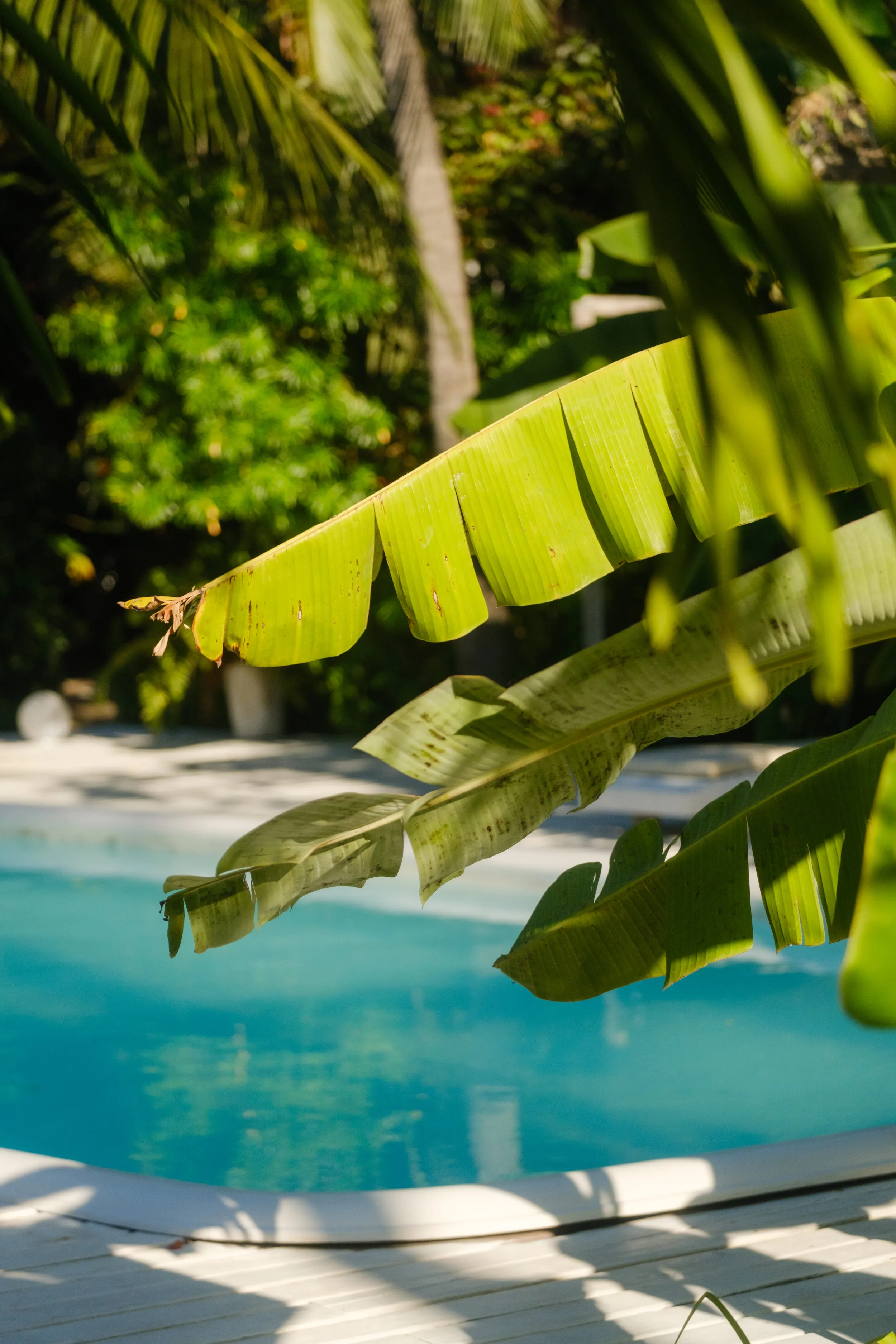 Pousada País Tropical — Icaraizinho de Amontada, Ceará