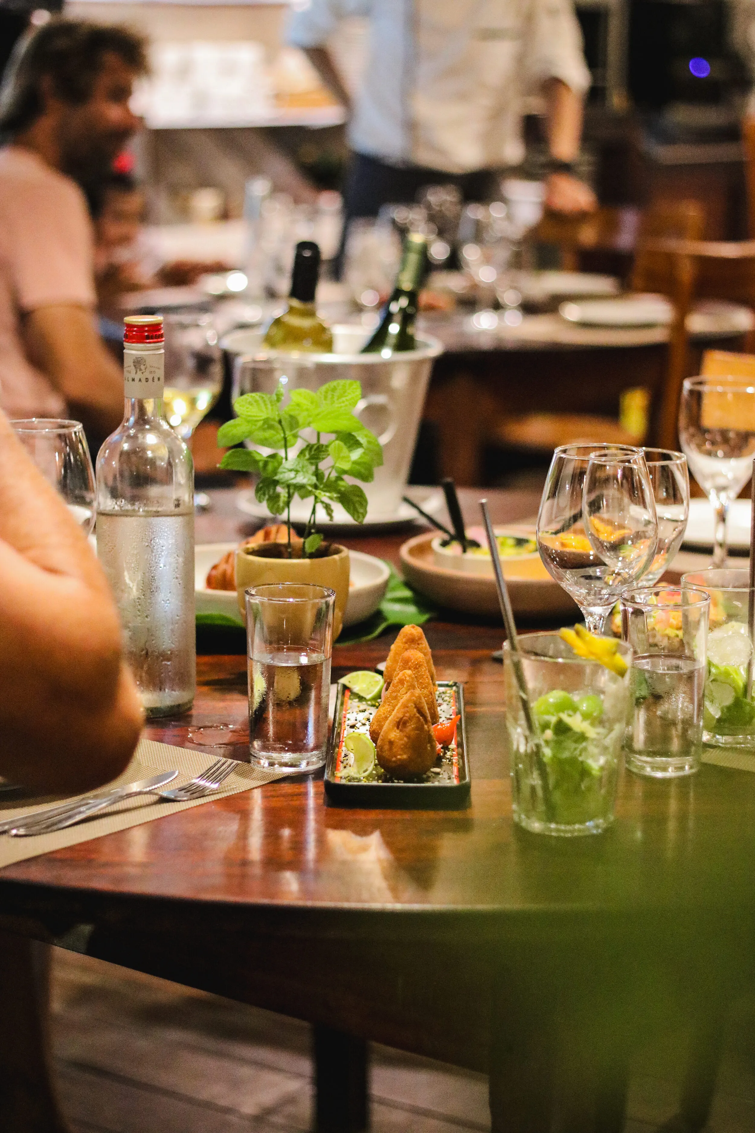 Restaurante País Tropical — gastronomia cearense